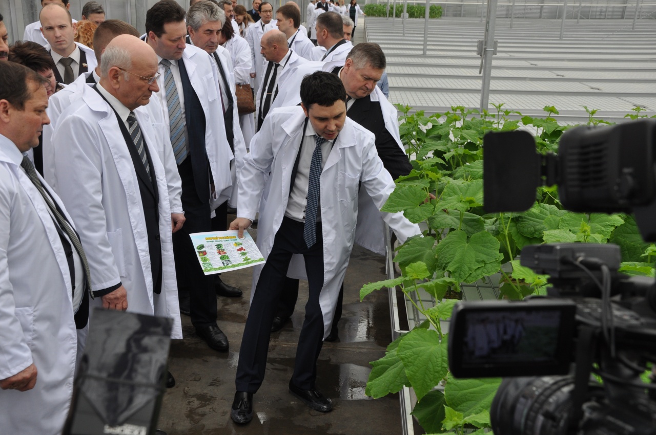 ООО ЭКОФЕРМА Кушкульские теплицы