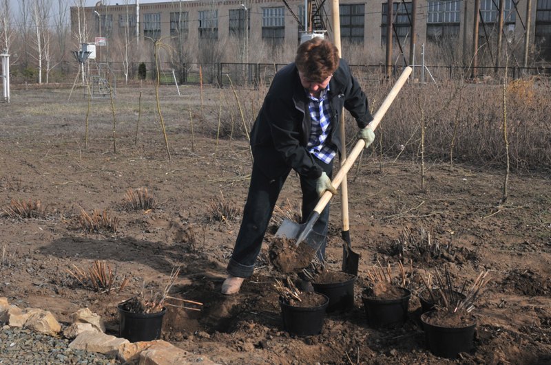 работа в саду в оренбурге