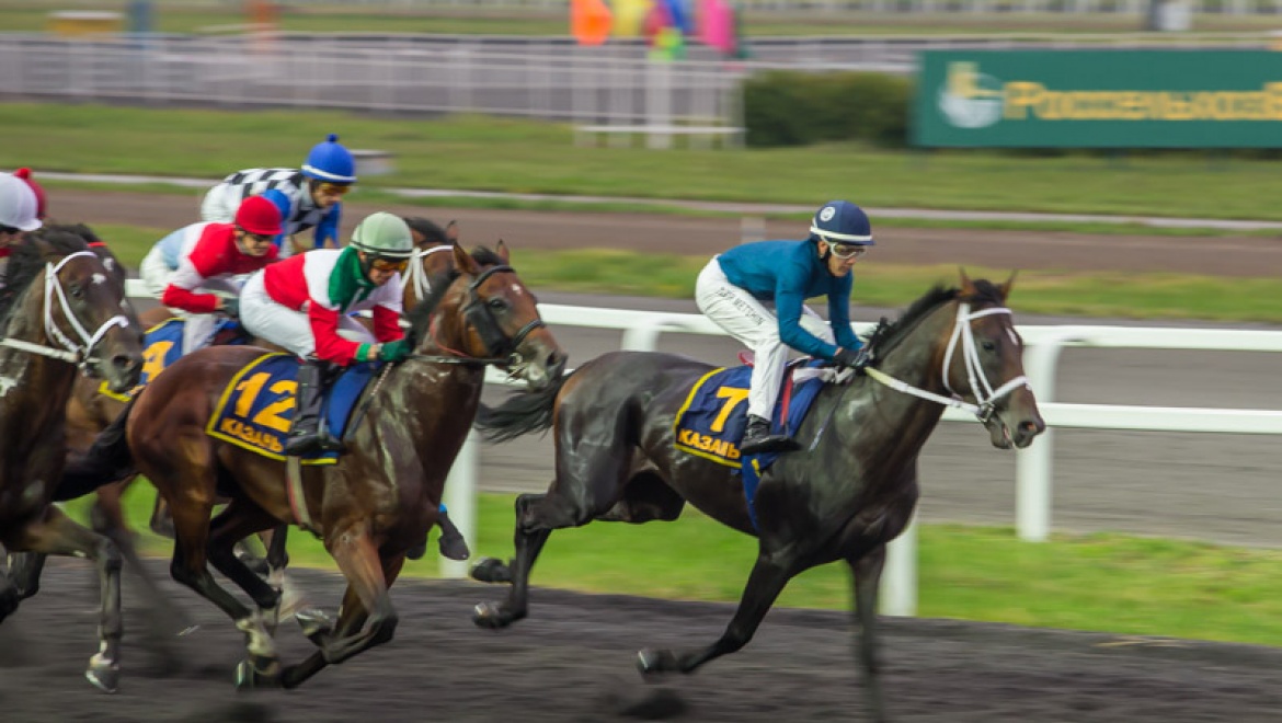 На ипподроме Казани разыграли призы в честь Сабантуя и чемпионата по водным видам спорта
