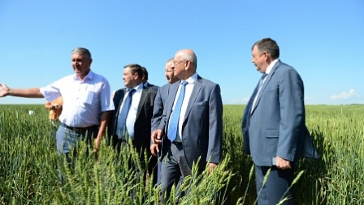 На зональном обсудили вопросы уборки урожая 