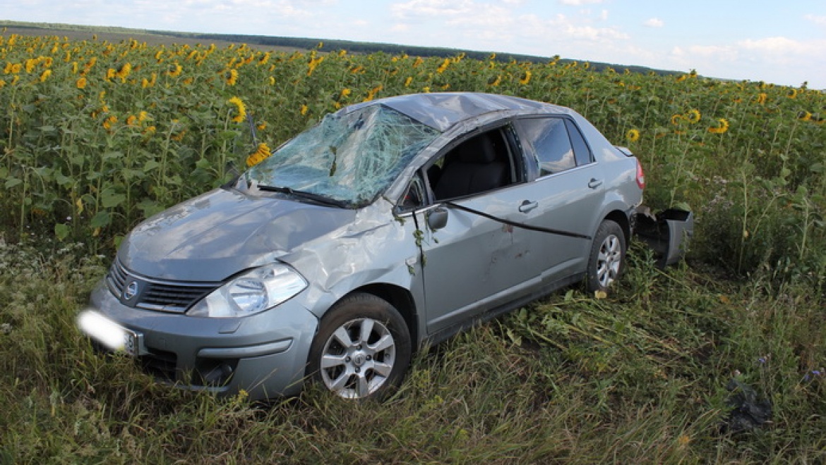 ДТП в Матвеевском районе, водитель погиб на месте