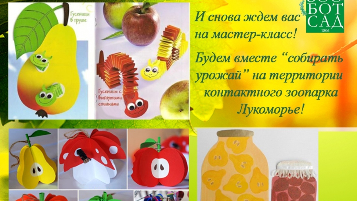 Маленьких казанцев научат собирать урожай