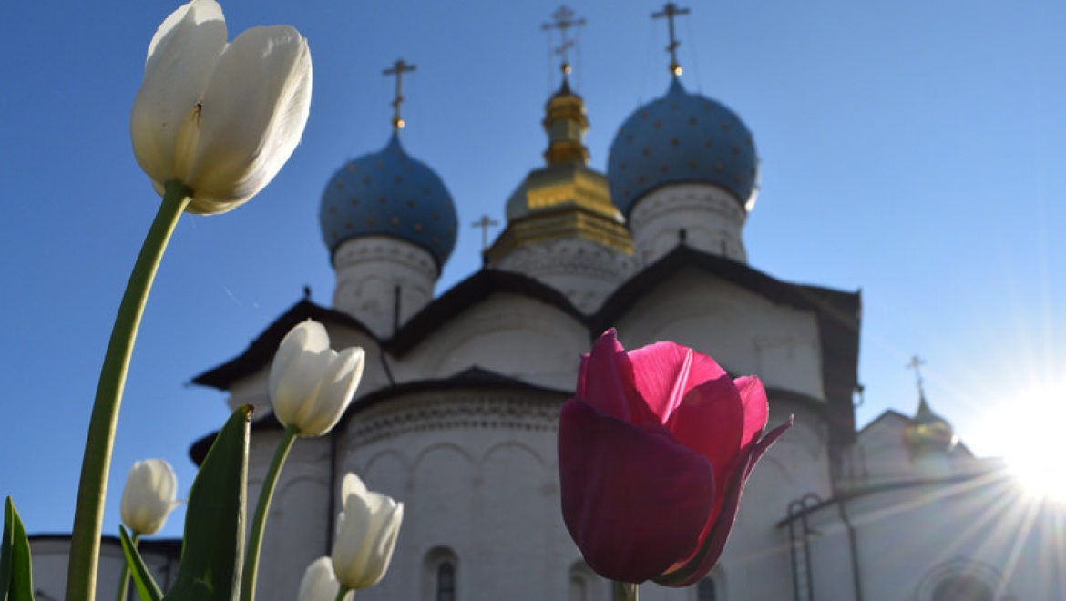 Казань примет Международный форум православной молодежи