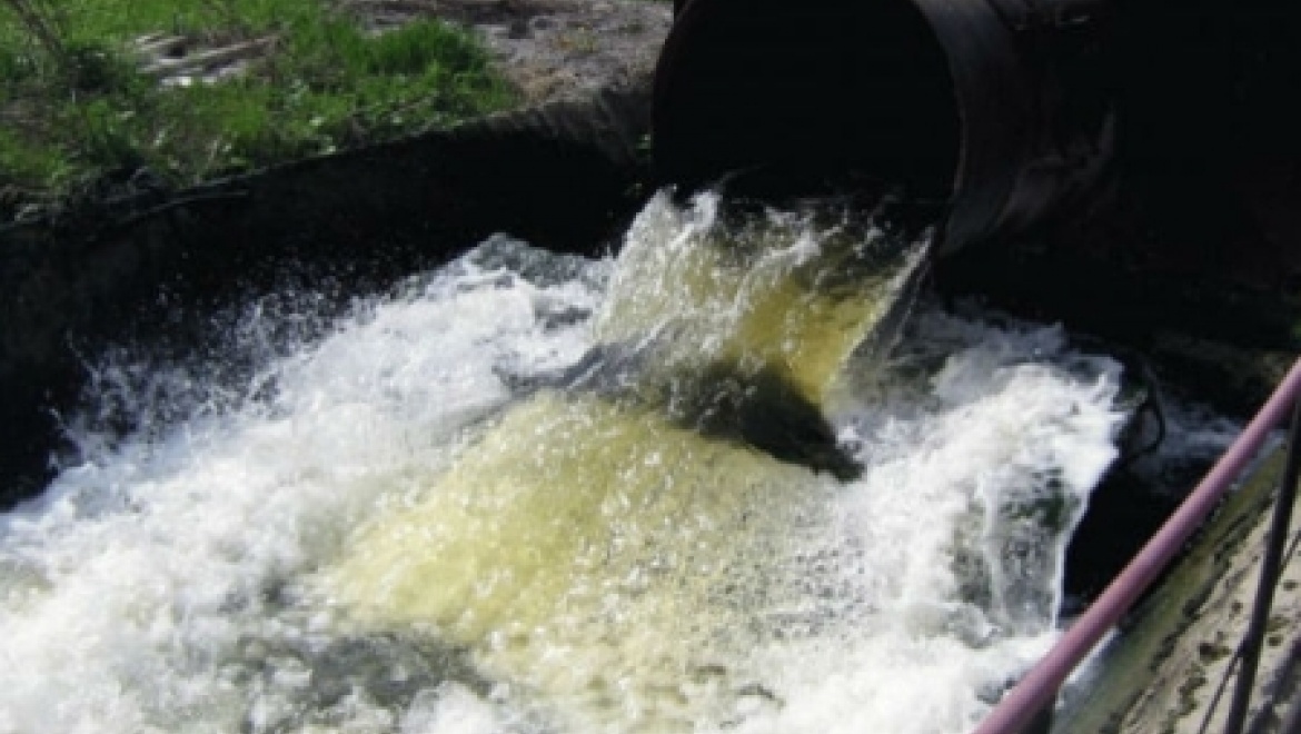 Татарстанцам заплатят за сообщения о нарушениях природоохранного законодательства