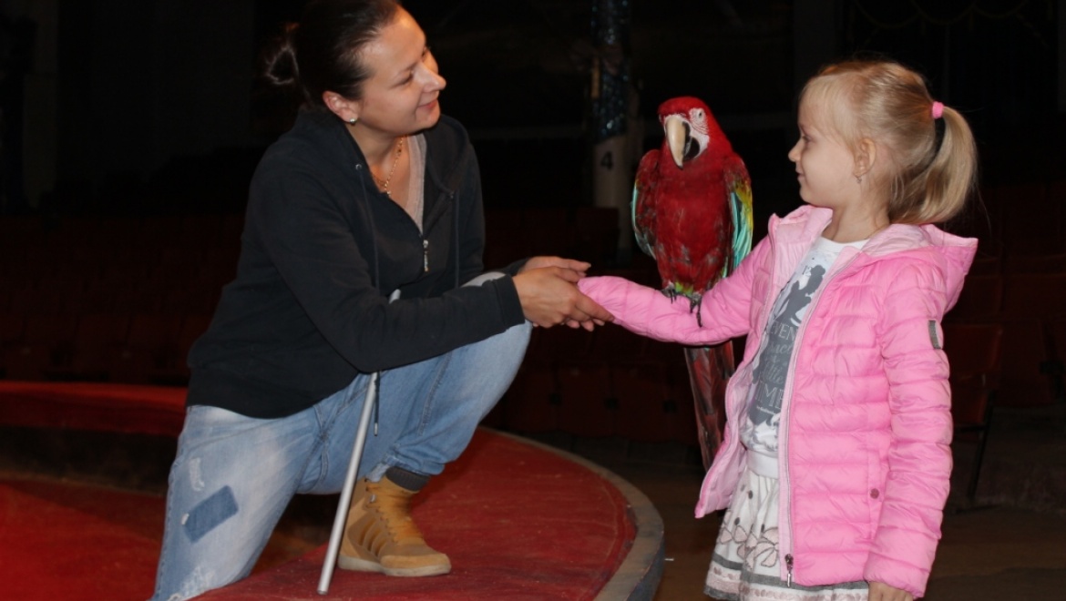 Общественники организовали детям экскурсию в цирк