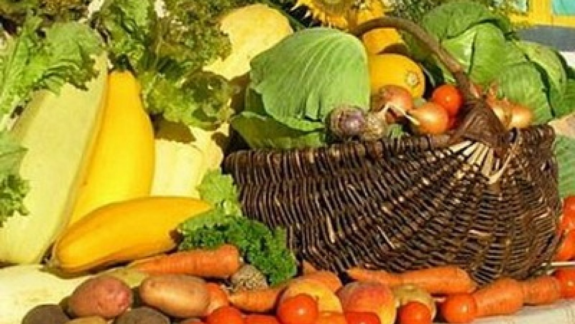 С 5 сентября в Казани начинаются традиционные сельскохозяйственные ярмарки