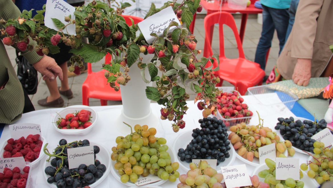 Ярмарка местных товаропроизводителей!             