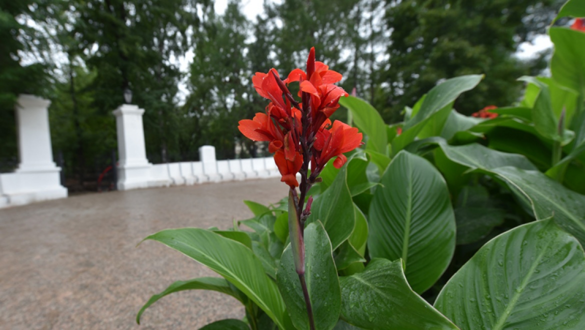 Фестиваль «Дни парков и скверов» в Казани стартует с открытия 4 реконструированных парков