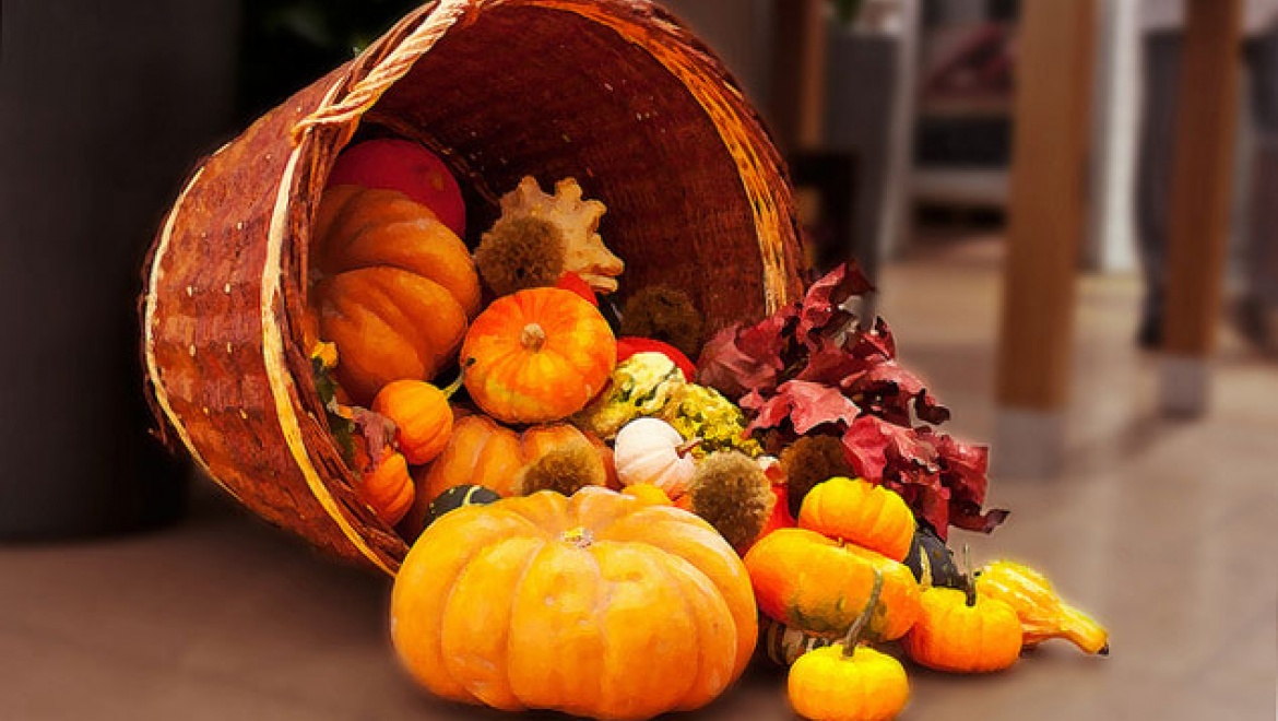 Сельскохозяйственные ярмарки продлятся в Казани до 26 декабря