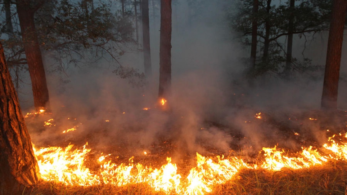 Из-за лесного пожара в селе Горьковское приостановлено газоснабжение 