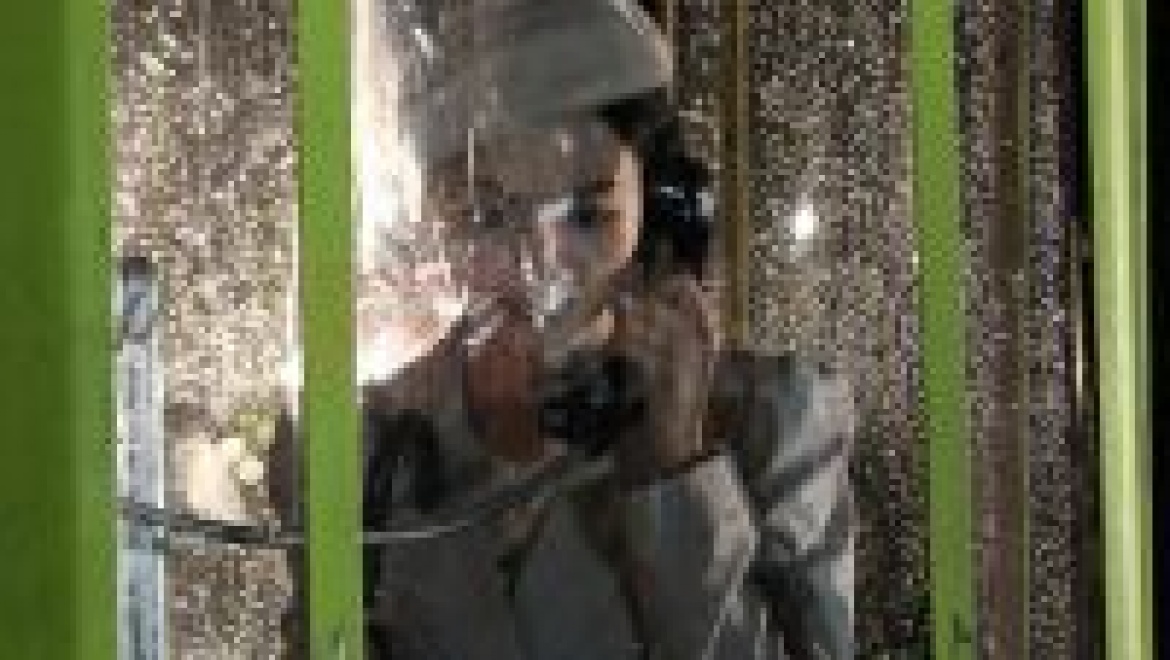 Монохромный фильм «Такси и телефон» - участник Международного конкурса в Оренбурге