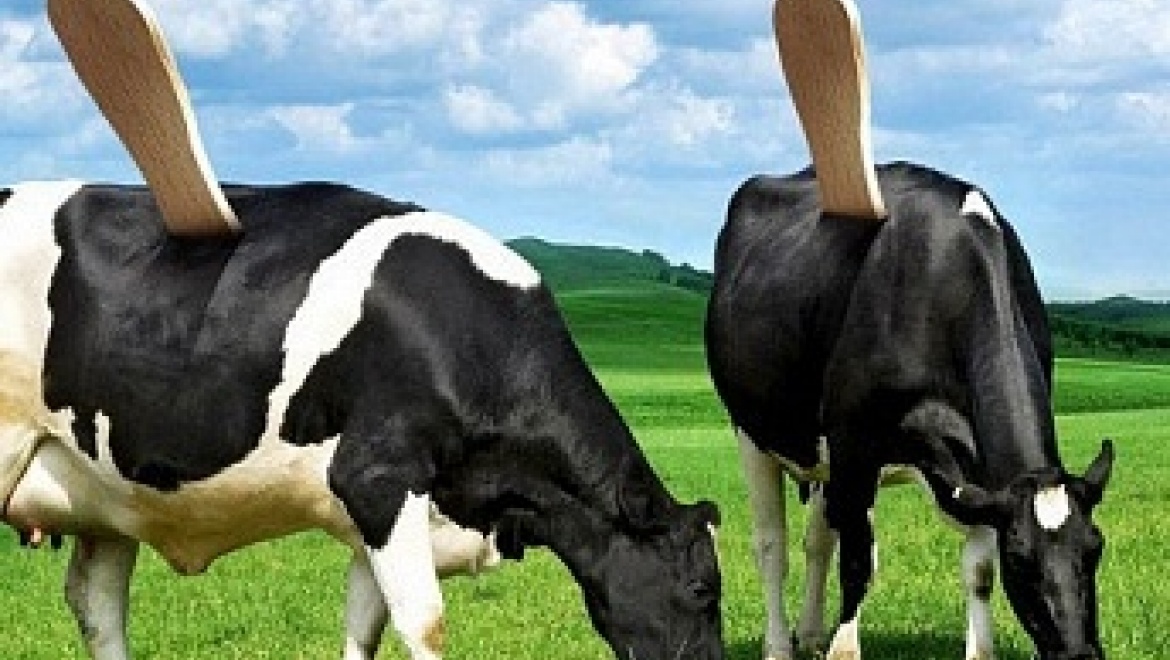 Казанцам покажут лучшие рекламные ролики со всего мира