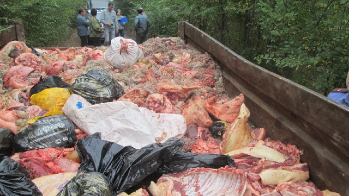 С предприятия "Оренбургский бекон" исчезло 240 кг свинины