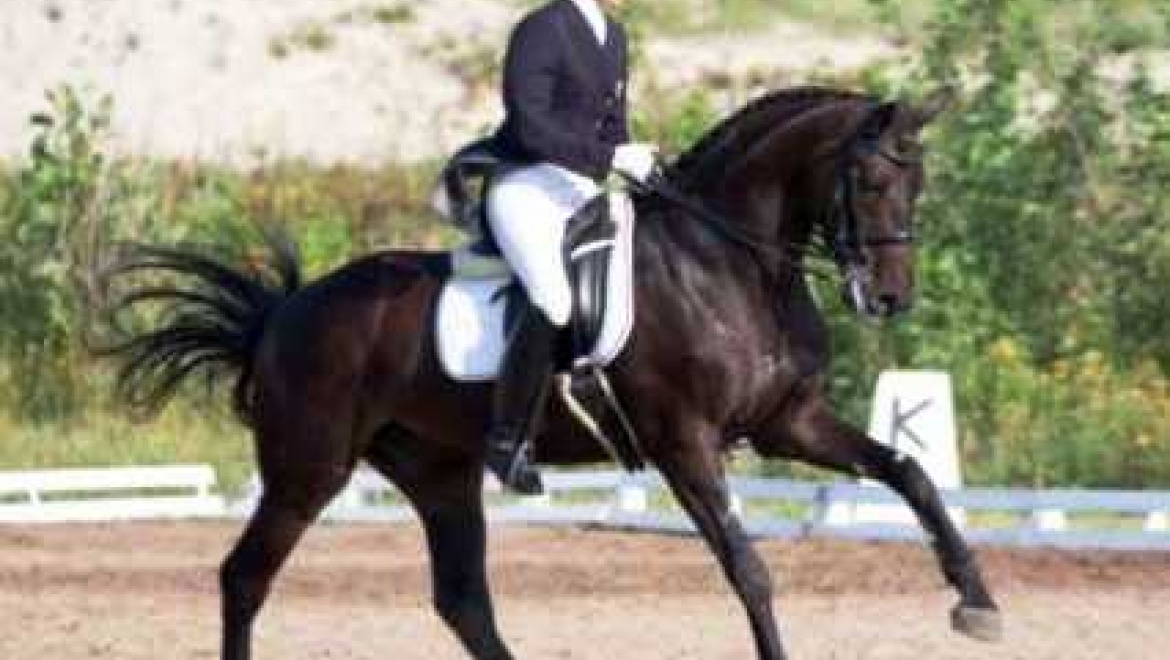 21-23 сентября в Казани пройдет открытый Кубок Татарстана по конному спорту