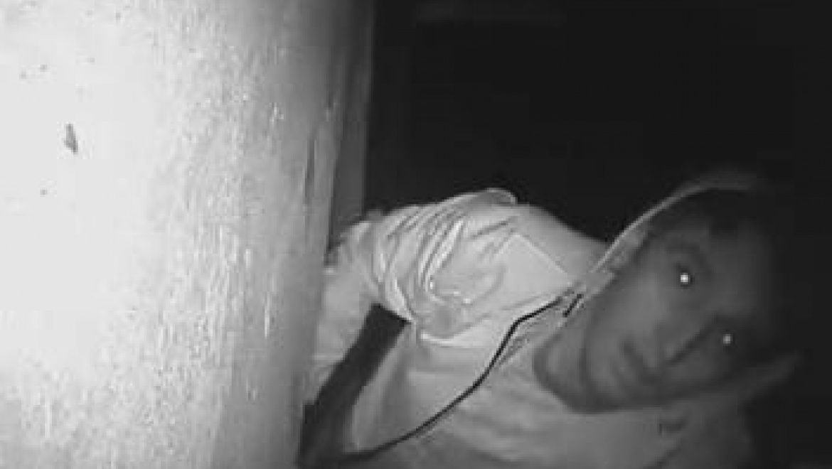 Разыскивается молодой человек по подозрению в краже видеокамер наружного наблюдения