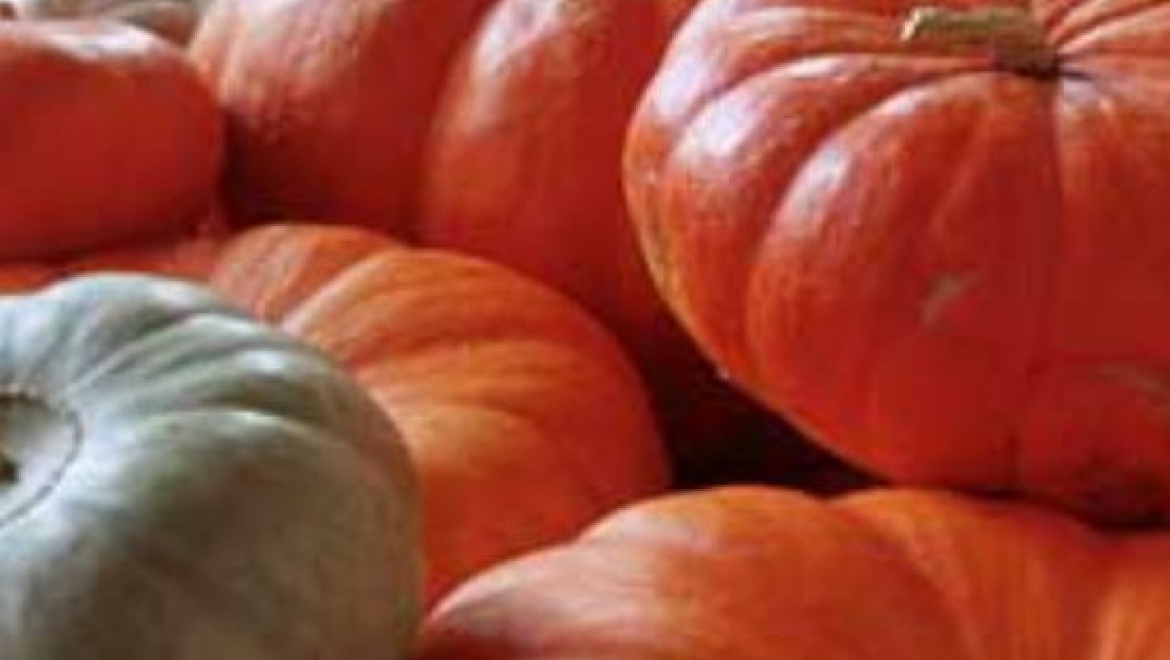 В Казани впервые прошел конкурс на самую большую тыкву