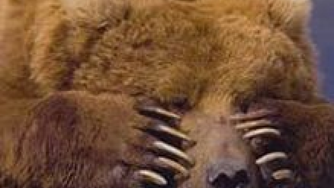 Казанский зоопарк приглашает на Всемирный День защиты животных