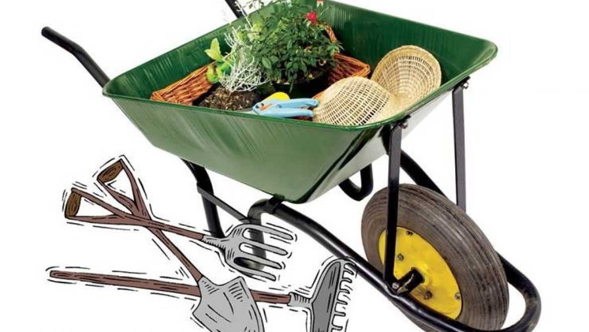 В агропромпарке «Казань» пройдет ярмарка достижений образовательных учреждений