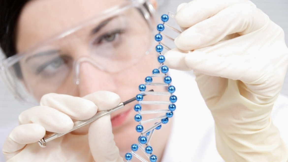 Казанские ученые изобрели новый способ лечения травм спинного мозга