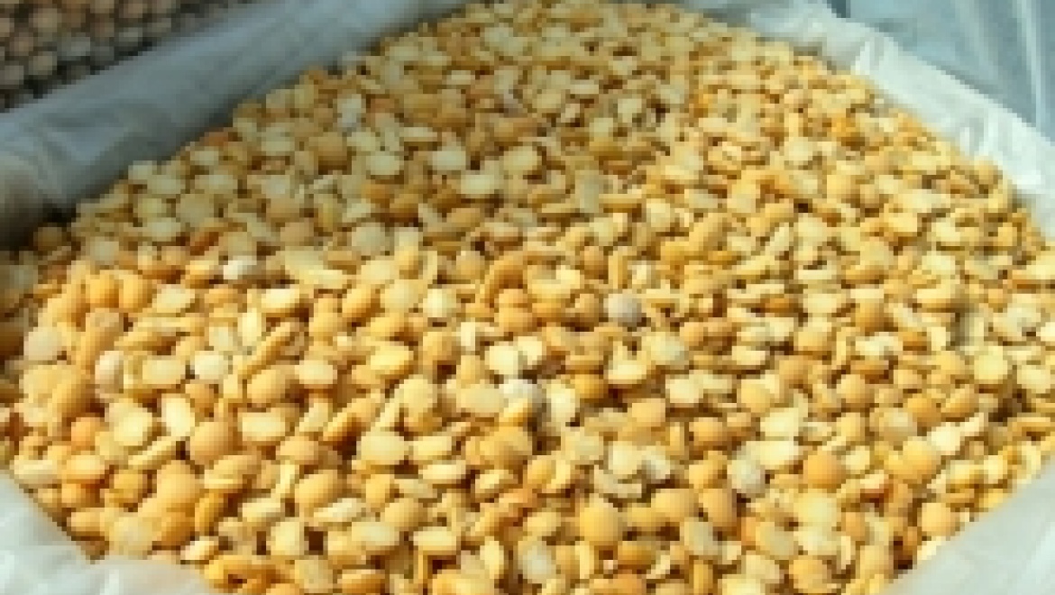 За неуплату страховых взносов лишились урожая