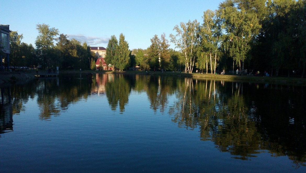На этой неделе в парке Урицкого в Казани начнется посадка новых деревьев