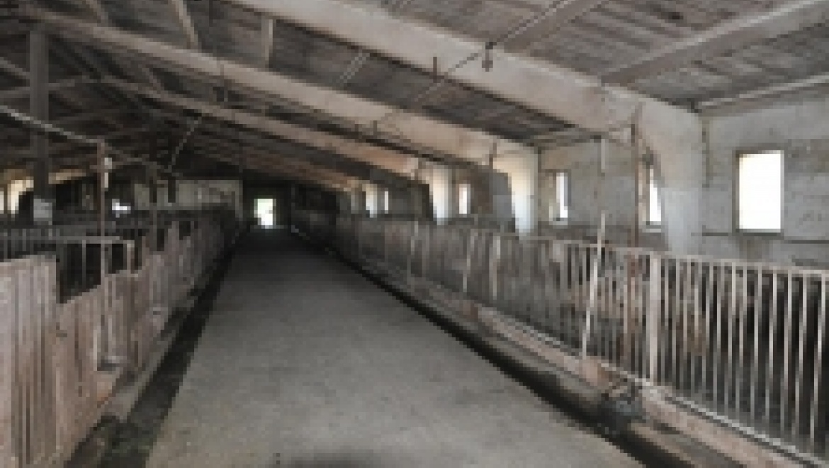 Здание свиноводческой фермы арестовано в счет доолга