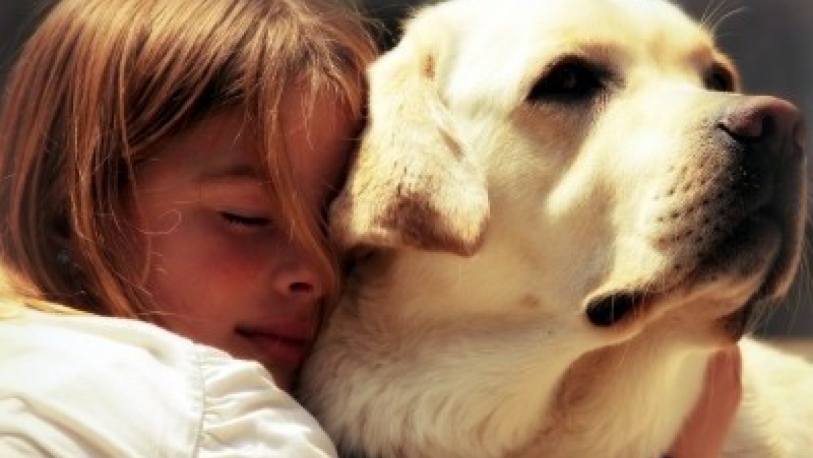 Казанских ребят с ДЦП будут лечить с помощью собак