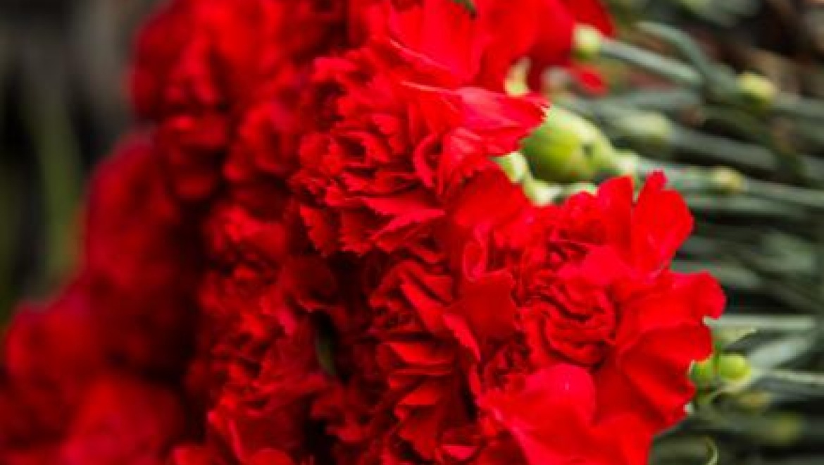 Ильсур Метшин выразил соболезнование в связи с серией кровопролитных терактов в Париже