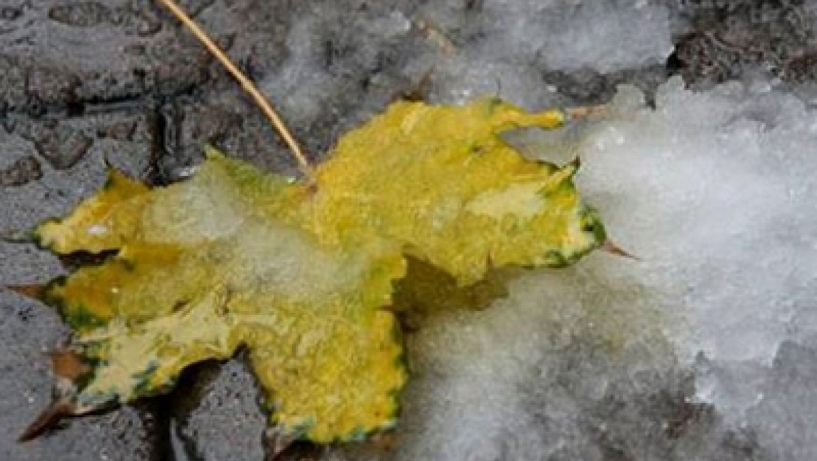 В Казани ожидается мокрый снег с дождем