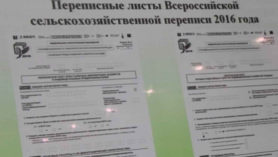 В Правительстве области обсудили подготовку к Всероссийской сельскохозяйственной переписи 2016 года