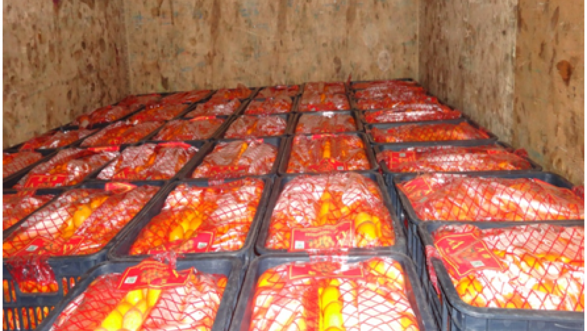 Россельхознадзор задержал 1,5 тонны мандаринов