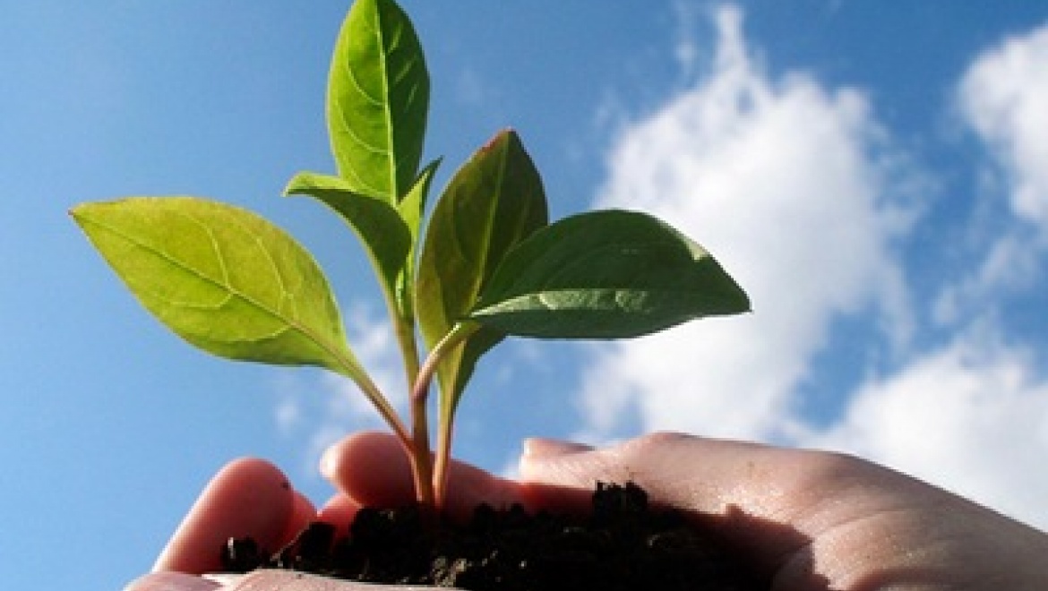 В Казани наградят самых неравнодушных к проблемам экологии жителей