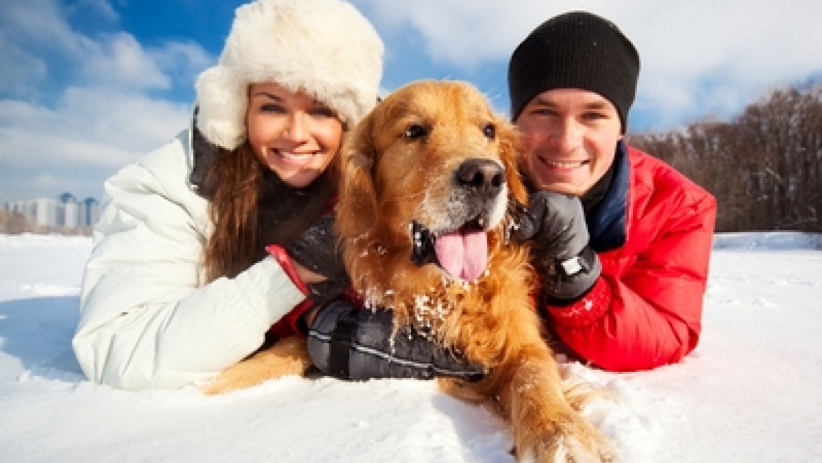 Казанцев приглашают на фотосессию со своим питомцем