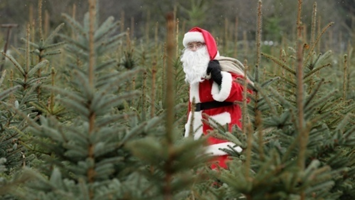 В Казани стартовала операция «Ель»