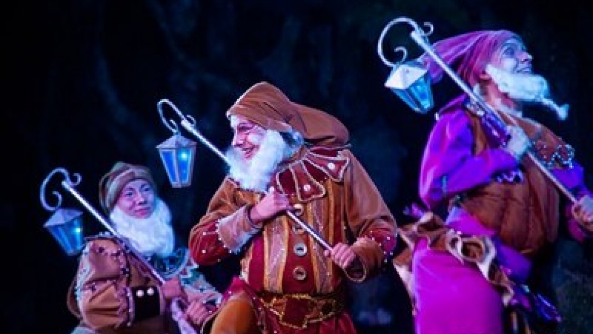 Казанским детям покажут благотворительный новогодний балет «Белоснежка и семь гномов»