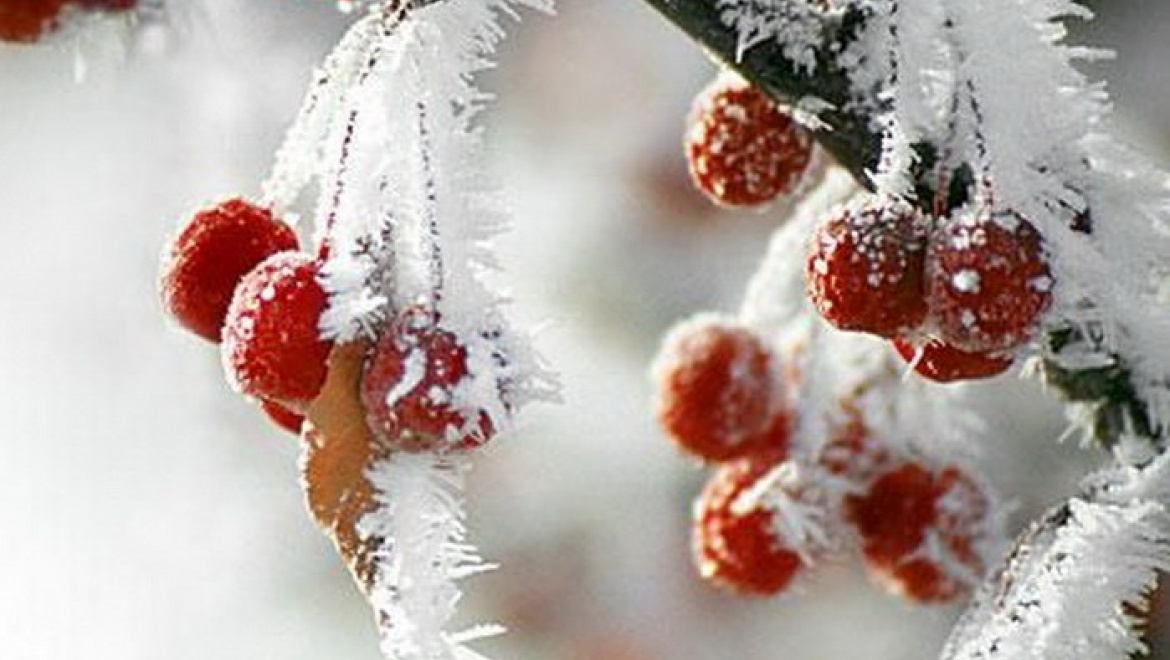 В Новый год казанцев ожидает морозная погода