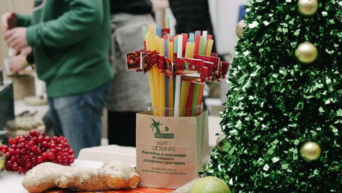 В Казани пройдет фестиваль экологической жизни