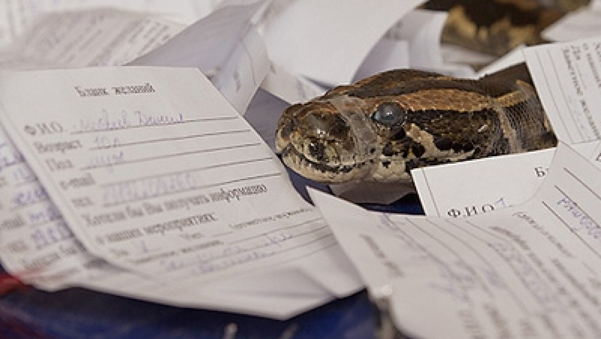 Волшебный корабль в Казанском зооботсаду исполнит желания горожан