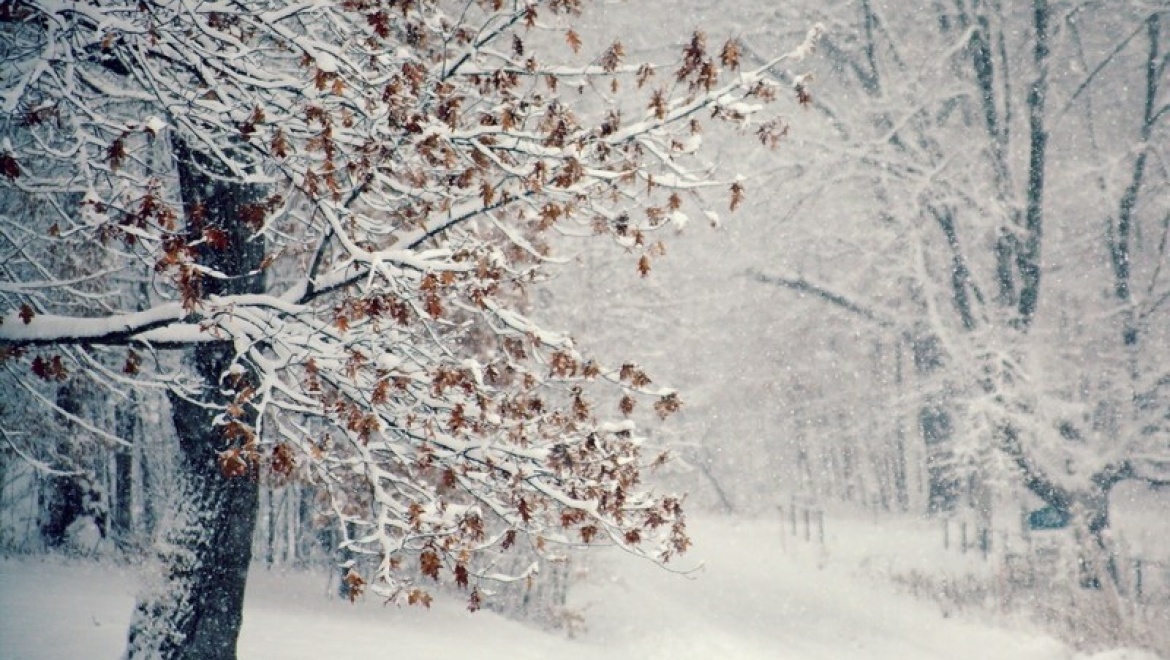 В Казани сохраняется снежная погода