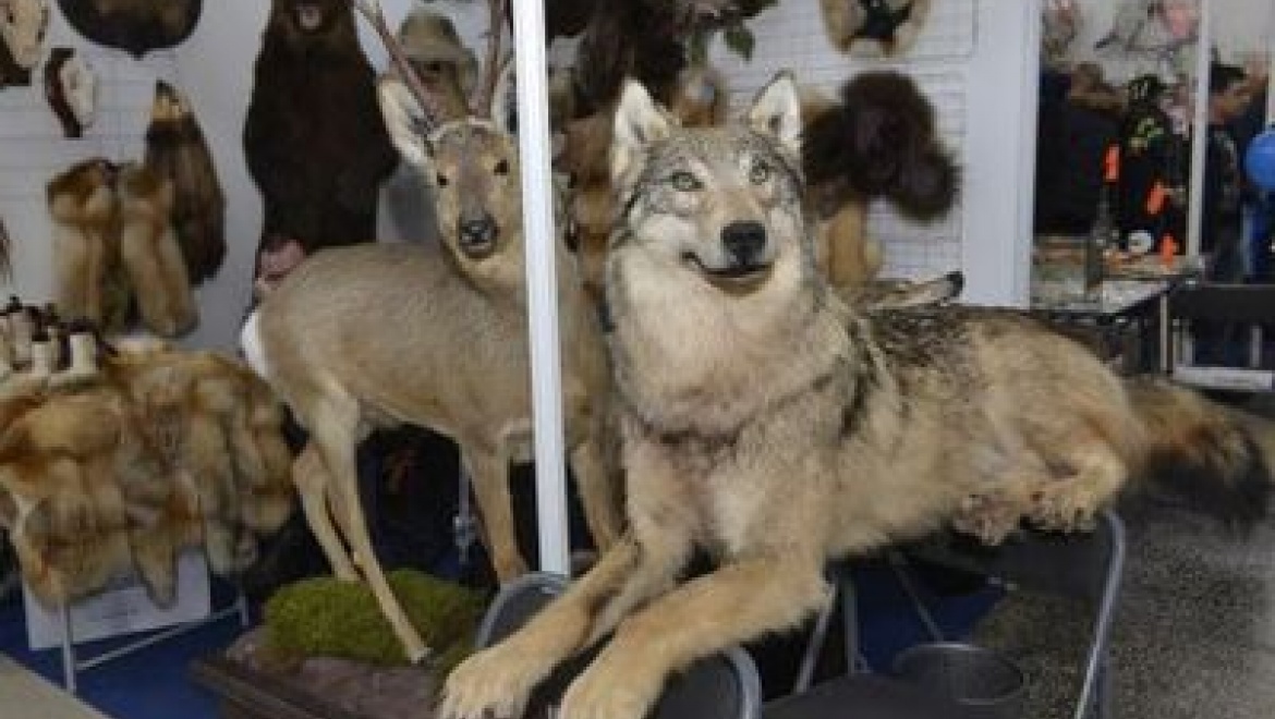 В Казани пройдет выставка для любителей охоты и рыбалки