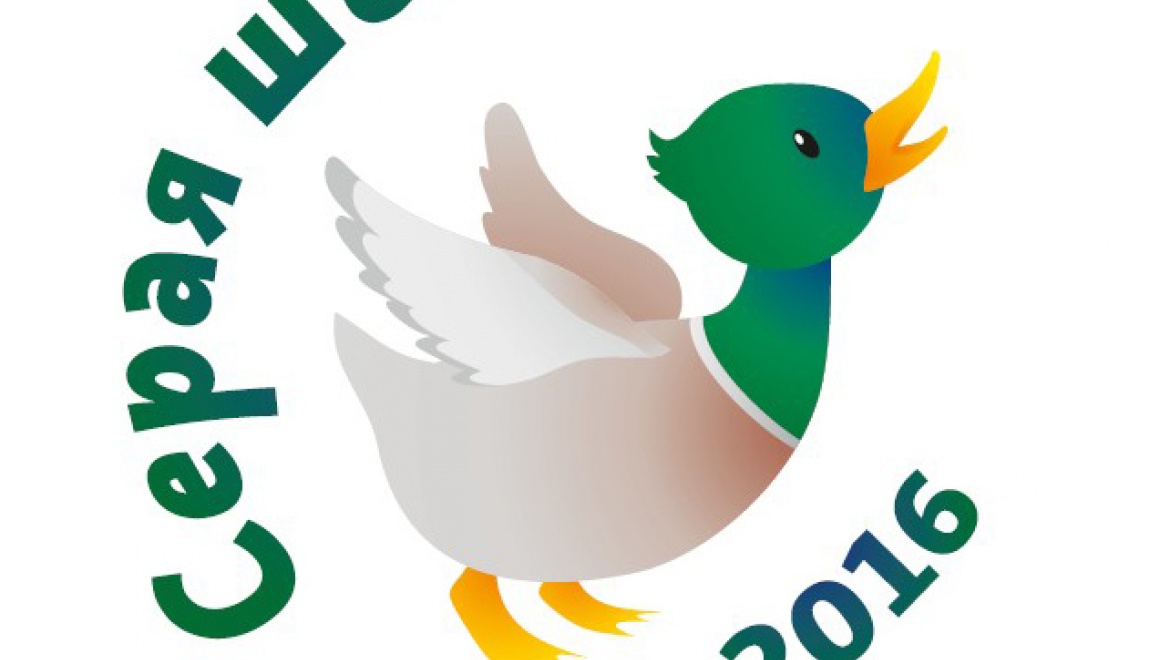 Оренбургские «серые шейки»