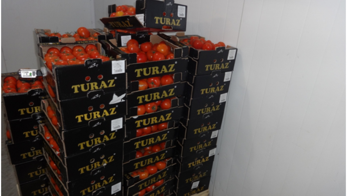 В гипермаркете "Лента" изъята и уничтожена партия турецких томатов