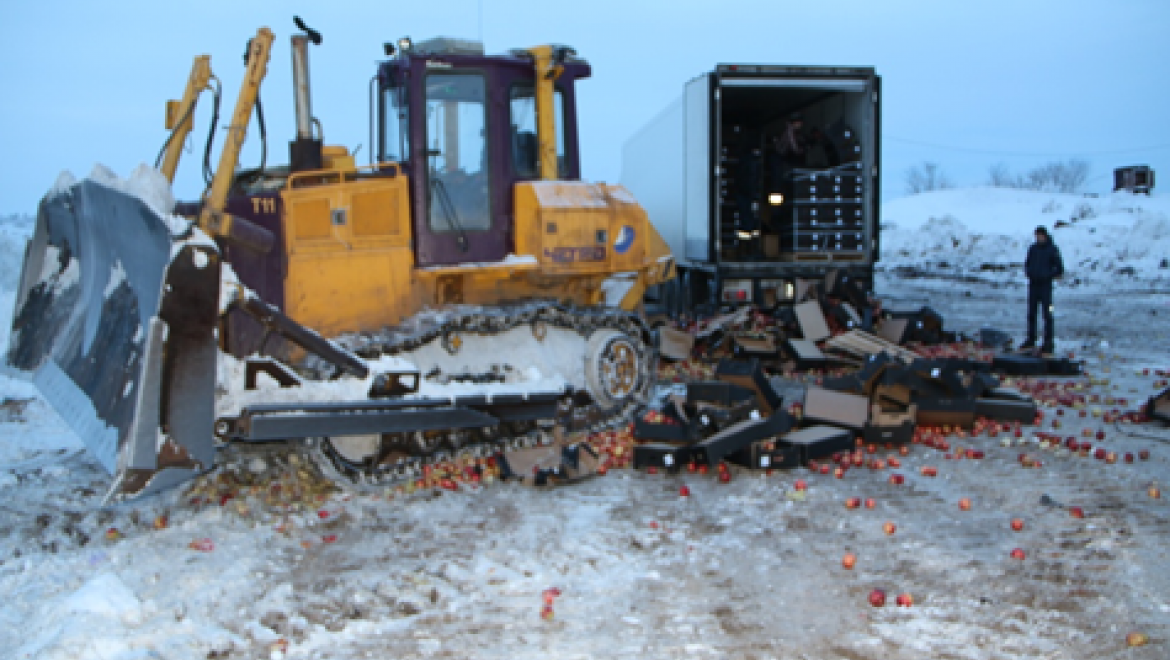 В Оренбургской области уничтожено около 20 тонн польских яблок