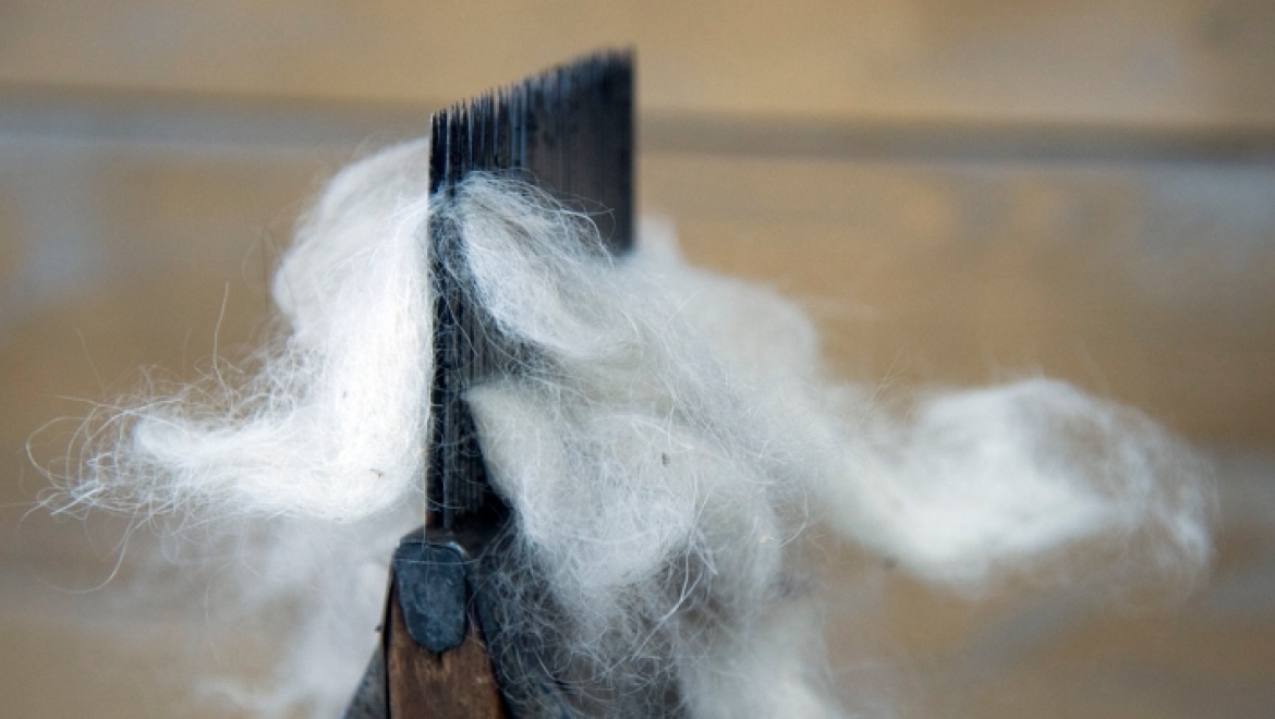 Готовится к открытию выставка "Пуховые фантазии мастера"