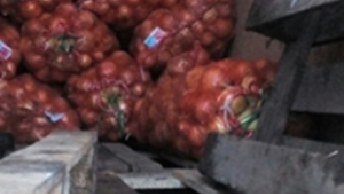 На Оренбургсклй границе задержана партия лука