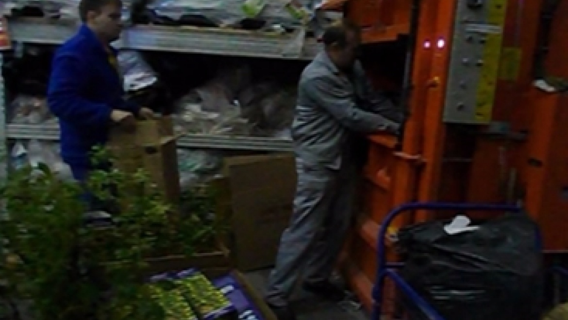 Россельхознадзор уничтожил тульские саженцы