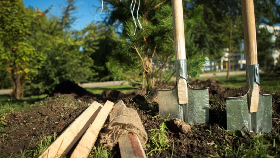 Р.Минниханов: «В парках и скверах Казани должна кипеть жизнь»
