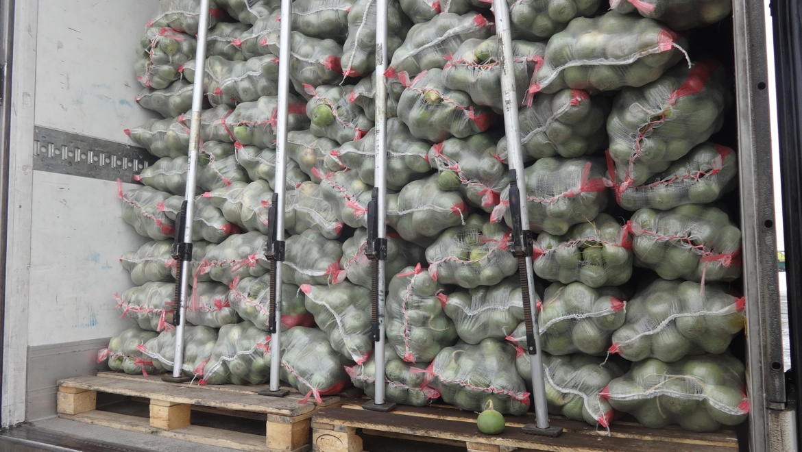 На границе задержано 77 тонн лимонов и редьки