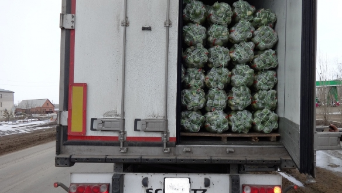 Россельхознадзор не пропустил в область 40 тонн редьки