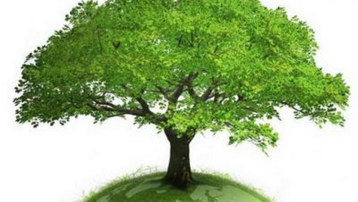 Казанцев приглашают принять участие в акции «Спаси дерево»